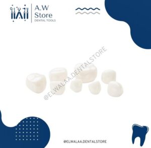 Pediatric ZR Crowns